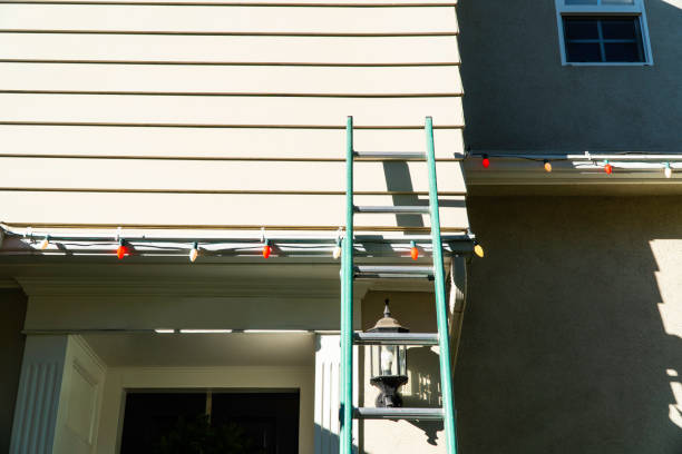 Best Custom Trim and Detailing for Siding  in Elkin, NC
