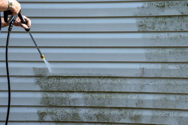 Trusted Elkin, NC Siding Installation & Repair Experts